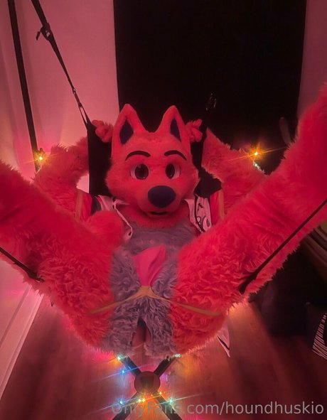 houndhuskio high quality actress galleries