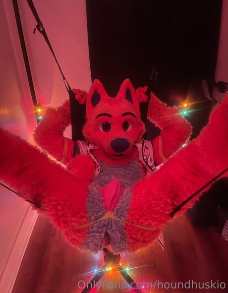 houndhuskio adult actress photos