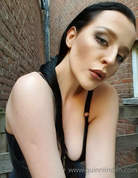 heyitsquinn star free photo