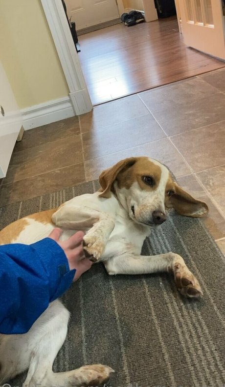 northerngaymertwinks free star images