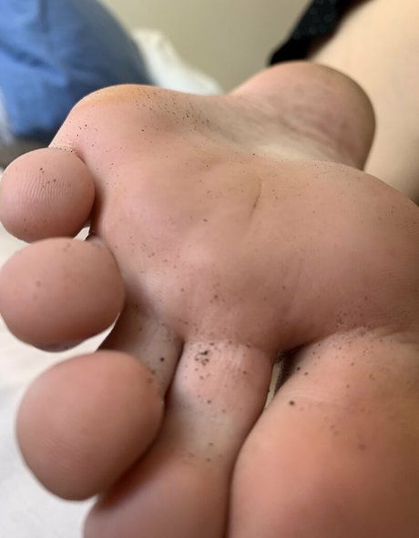 pallomalovely star high quality picture