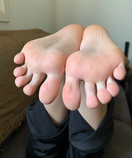 pallomalovely star nice galleries