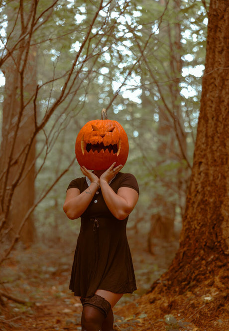 alfredcox model top gallery