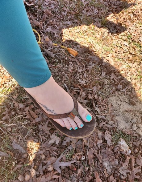 southernwooty star art photo