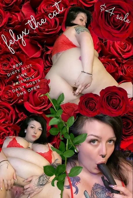 beebstv pornstar archive