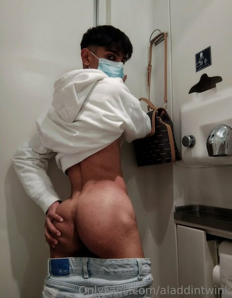 aladdintwink model free archive