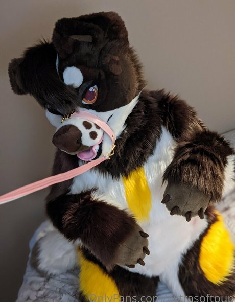 extrasoftpup nice star photos