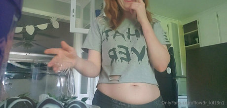 flow3r kitt3n1 best model images