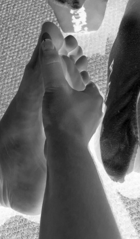 gay solo onlyfans nice image