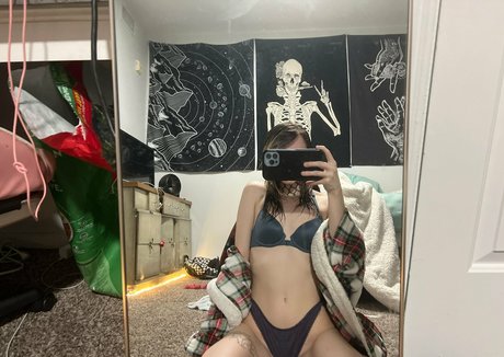 Wallfartss star best gallery