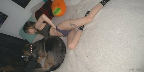 white lingerie onlyfans adult photo