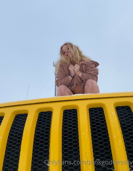 pinkgoddessliv porn actress images