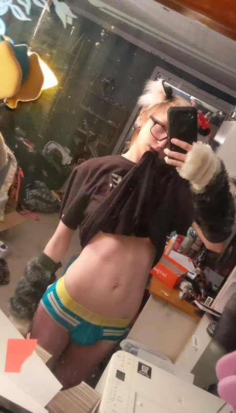 catgod x pornstar best gallery