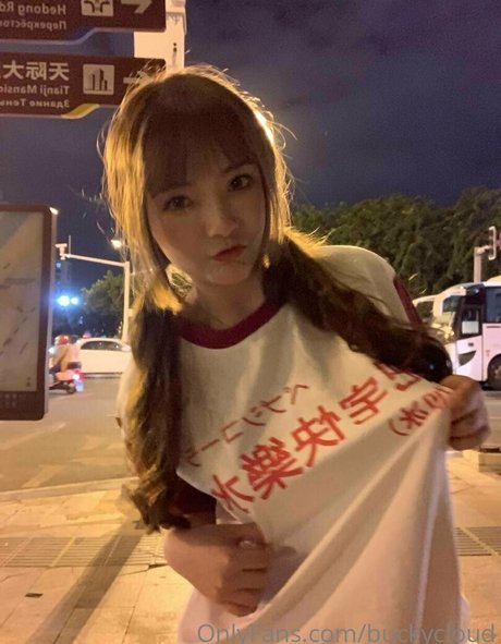 buckycloud model perfect gallery