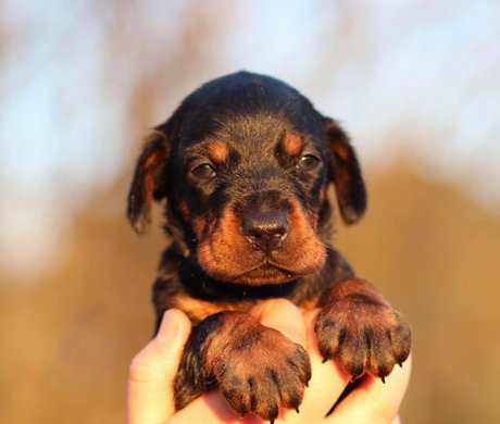 kristenhughey star art picture