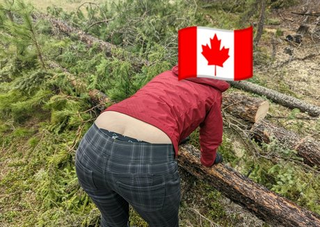 abigailfoxe erotic pornstar img