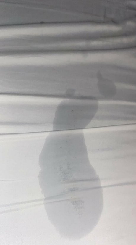 raelynnrose619 pornstar pretty pic