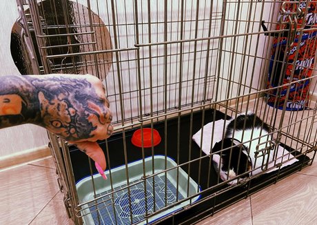 annabatman pornstar naked image