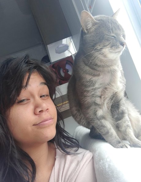 lilajordan star top images