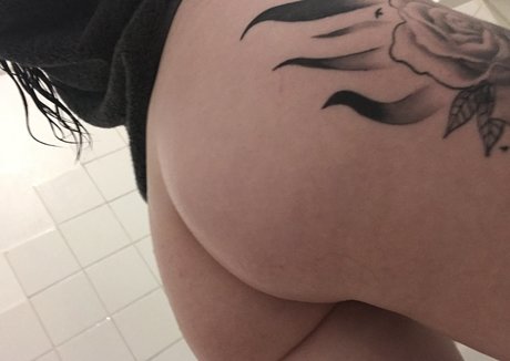 ncaslida freie perfekte galerie