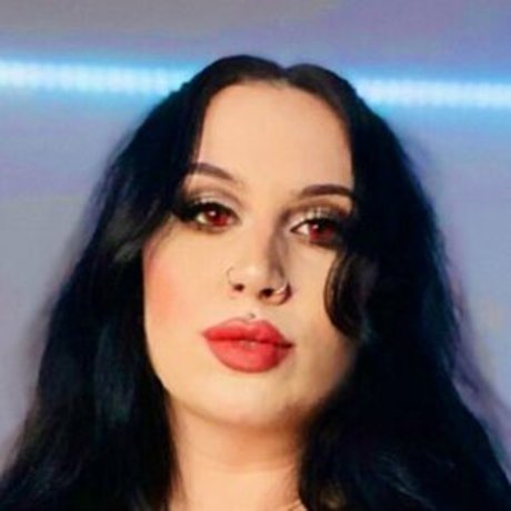 küche nur fans schöne kostenlose fotos