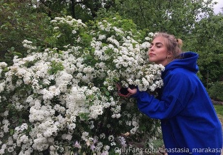 nastya marakuja beste freie bilder