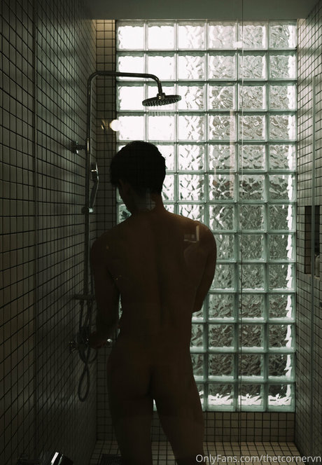 thetcornervn perfekte fotos