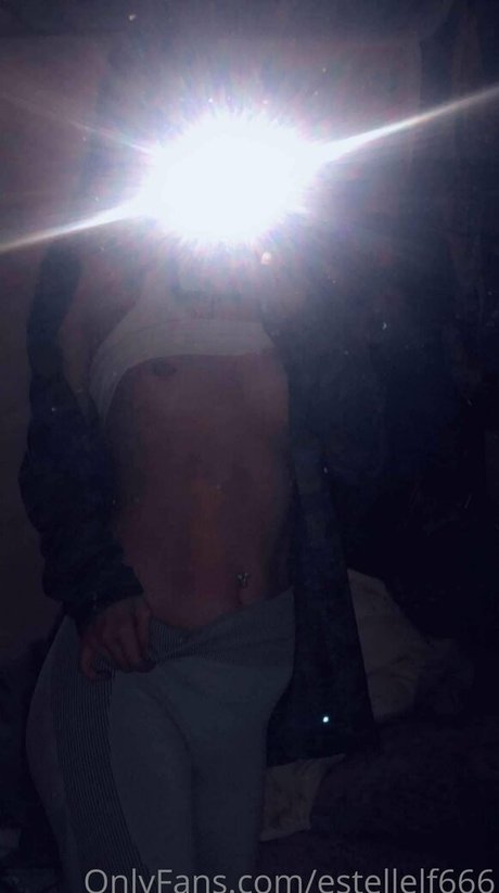 estellelf666 nacktheit kunst bild