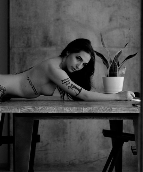 sunnyandraven beste top galerien