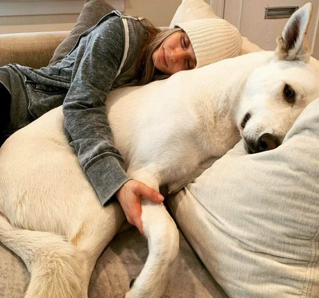 Rita Volk kostenlose kunst fotos