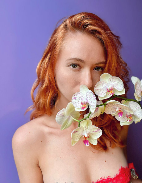 alicerocket kostenlose nackt bilder