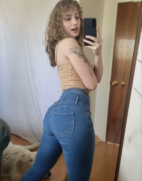 Real Owl hd schöne foto