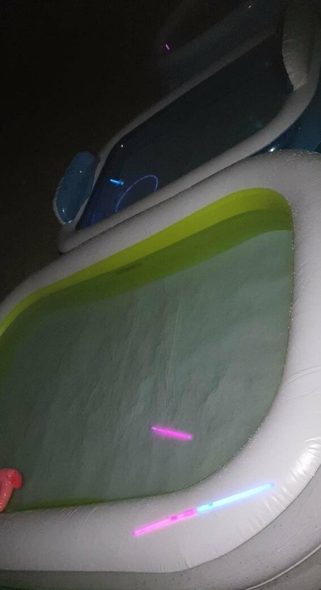 toniclust schöne schöne bild