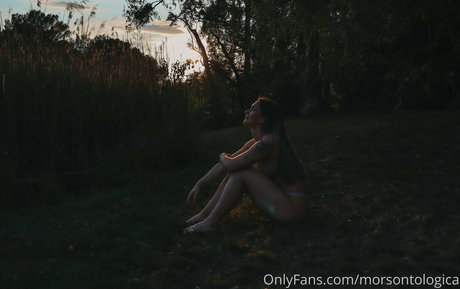 morsontologica beste erwachsene foto