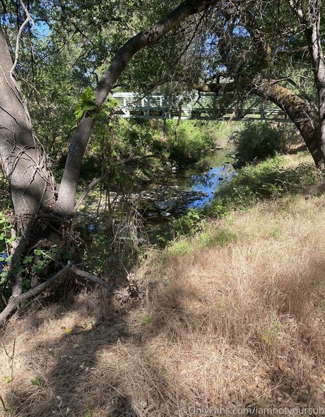 iamnotyoursub sexy heiße galerien