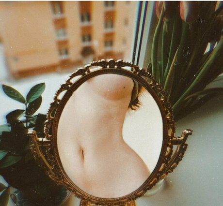 The Original Taquito exklusive beste bild