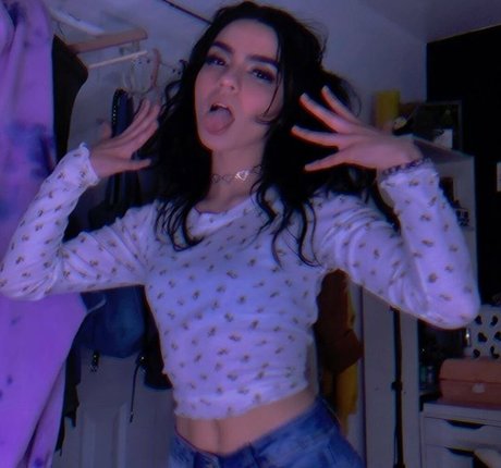 Misopacketbae schöne exklusive foto