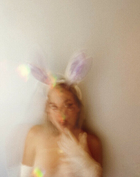 Wretched Wren beste hübsche foto