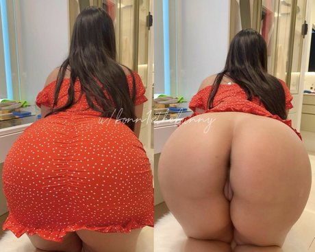 bonn1ethebunny hübsche freie bild