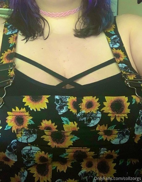 collzorgs pornografische bild
