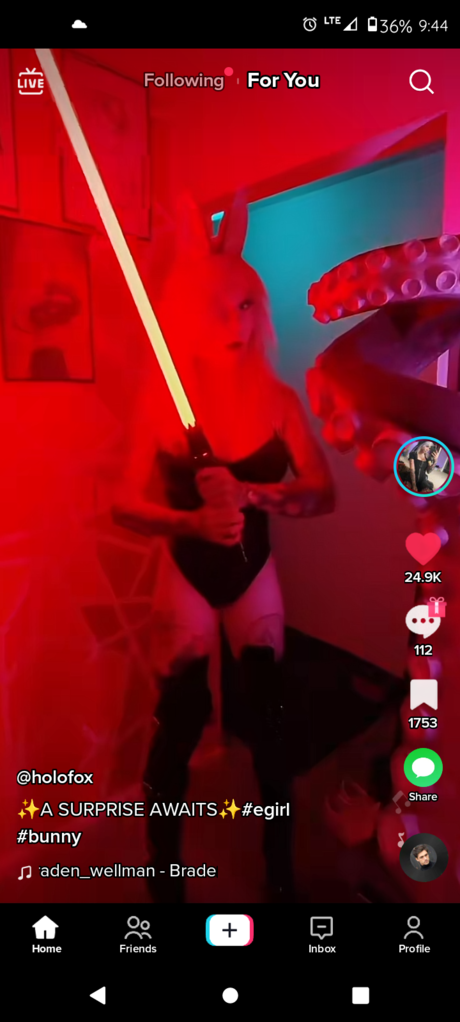 Holofox_ beste freie fotos