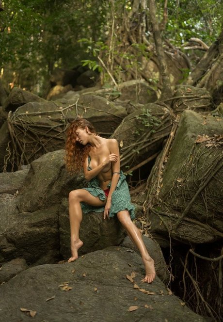 Curly Phoenix freie kunst fotos