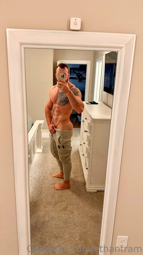 Bigdaddygrif top freie bild