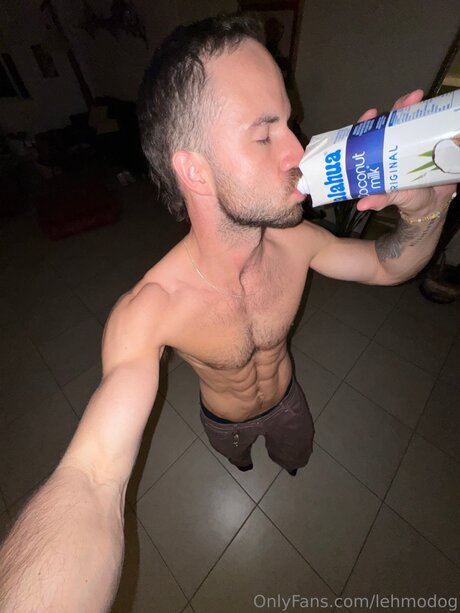Lehmodog schöne top foto
