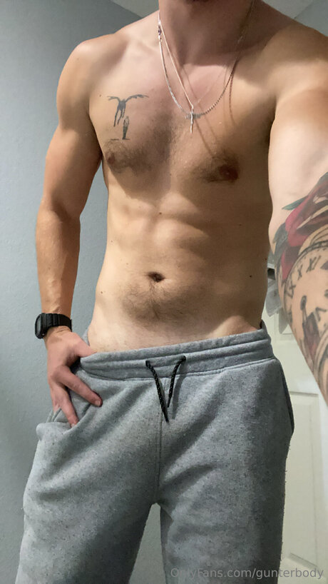 Gunterbody sexy kunst galerie