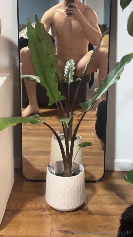 Jamessouth kunst pornografische galerien