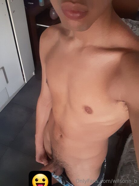 Wilsonn B exklusive pornographische galerie