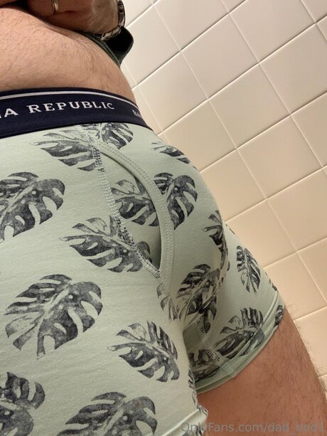 Dad Bod1 erotische erwachsene bild