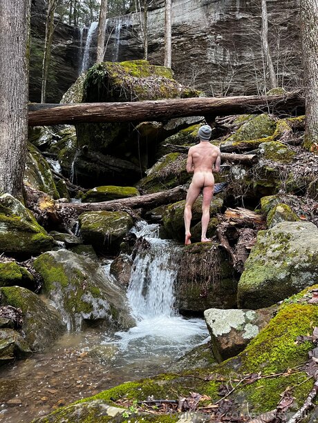 Mistercalix schöne hübsche galerien