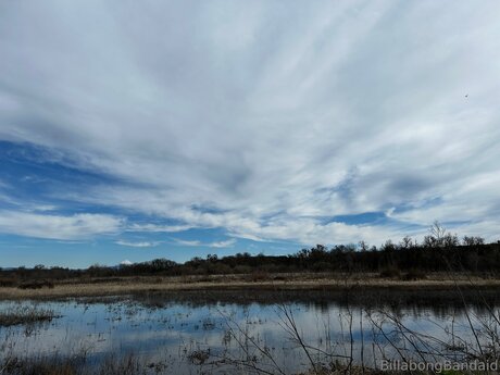Billabongbandaid kostenlose nackte foto